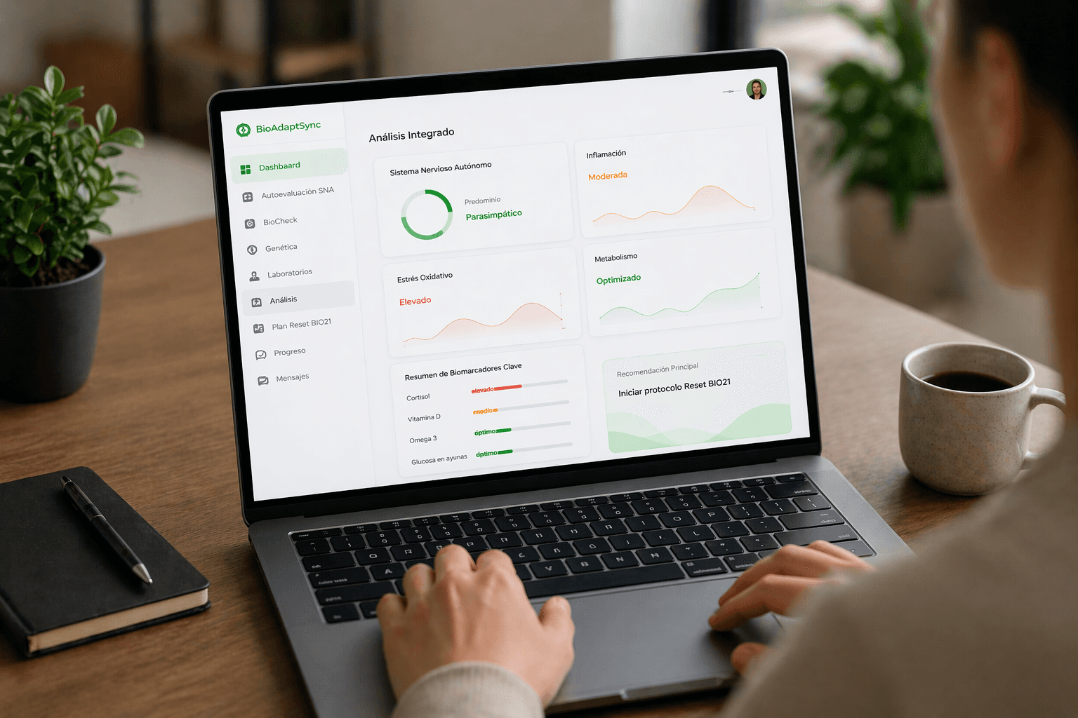 Interpretamos tu información